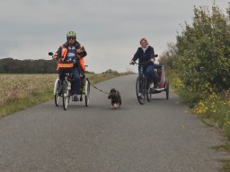 Sept: promenade du toutou